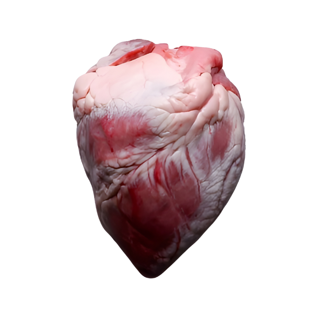 Regular Lamb Heart 1 lb buy online USA - 1